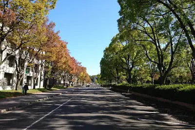 Nagoya University Library