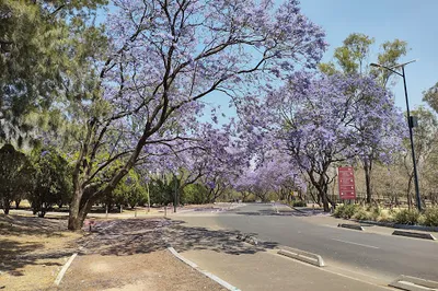 La Tapatia Parque