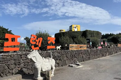 小羊肖恩羊駝牧場