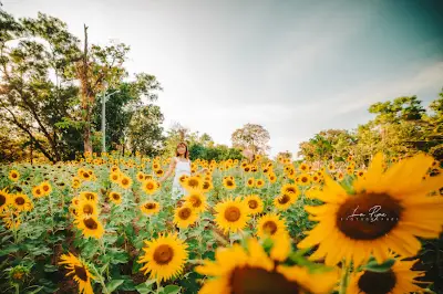 Phuket Provincial Commemoration Public Park
