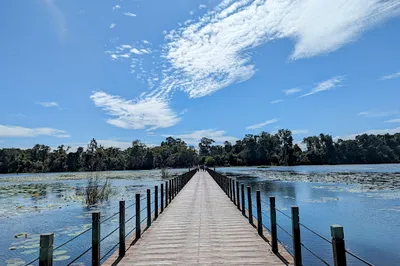 Jayatataka