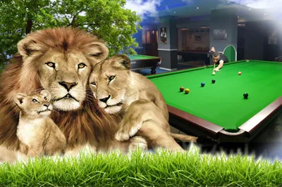 SPARK SNOOKER & BILLIARDS CLUB