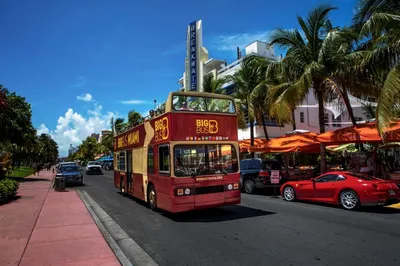 Big Bus Tours Miami