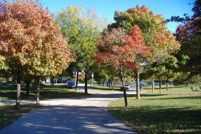 Burnham Park Promontory Point