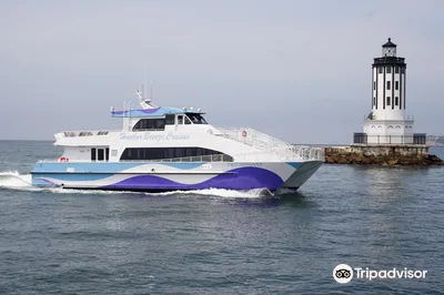 Harbor Breeze Whale Watching Cruises