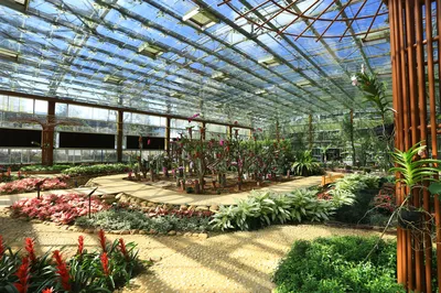 興隆熱帶植物園