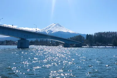 初遇日本丨箱根溫泉與美食的之旅！春節家庭自由行（看望遠在日本留學的弟弟）