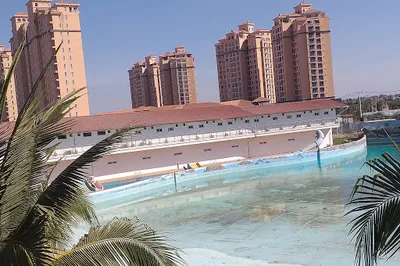 愛德市場