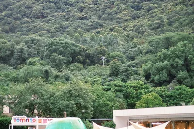 Guangdong Trip｜Sixth Visit to Chunmuyuan Town, Kids' Happy Place
