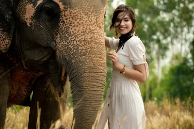 Elephant Jungle Sanctuary Phuket
