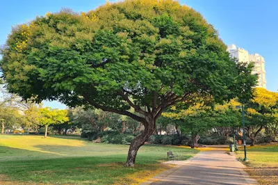 Menachem Begin Park