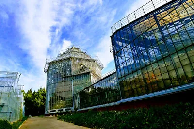 Oranzhereya Tropicheskikh Rasteniy Botanicheskogo Sada