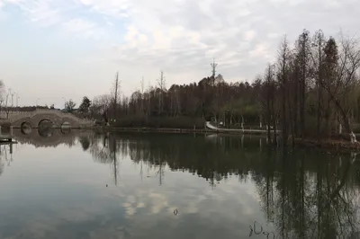 Donghu Garden, A Few Plum Blossoms Beyond the Bamboo