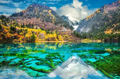 Five Flower Lake