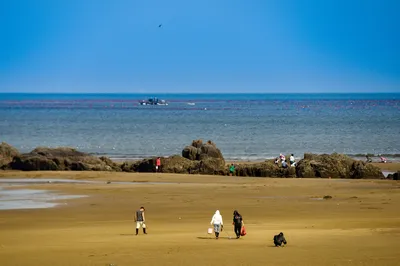 青島趕海