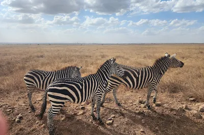 Nairobi National Park East Gate