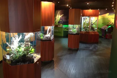 Punta Culebra Nature Center