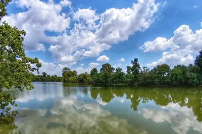 Kickerillo-Mischer Preserve