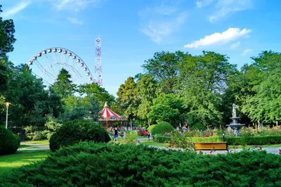 Tei Park