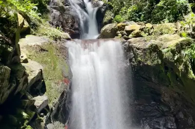 Sleeping Giant Zipline, Orchid Falls & Jungle Safari