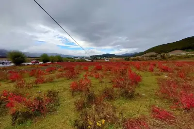Wangxiatai, Xiahutiao Scenic Area, National Key Scenic Spot of Yulong Snow Mountain