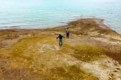 湖北逐風之旅D2（下）：宏大的南水北調渠首，還有丹江口的魚，真好喫！嗝~