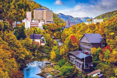 Maple Leaf Viewing in Sapporo