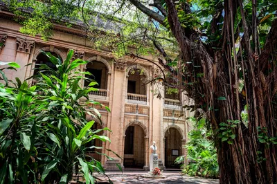 Museo de Historia Natural Felipe Poey