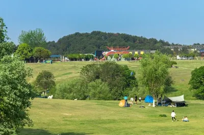 武漢露營丨最適合露營的木蘭草原，實用攻略來了