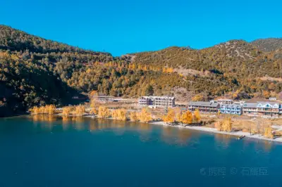 尼赛村