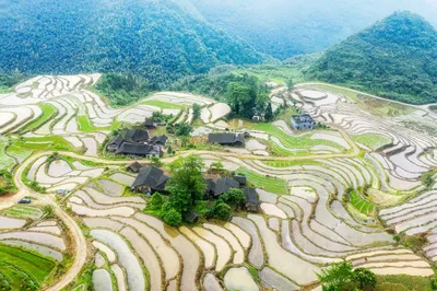 Peng Zhenhua: Terraced Fields Become Scenery, Rich Strokes Depict the Seasons