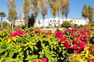 Casa Nearshore Park