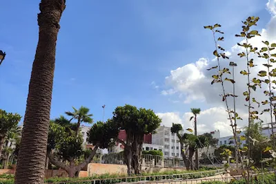 Palestine حديقة فلسطين Garden