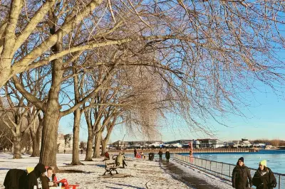 Coronation Park