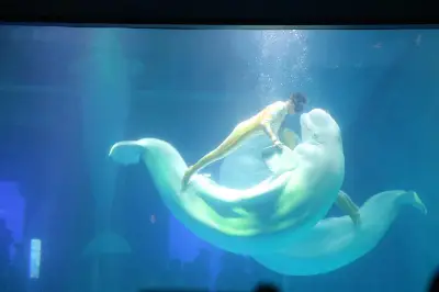 上海海昌海洋公园值得一去