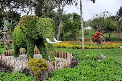 Loma Amarilla Ecological Park