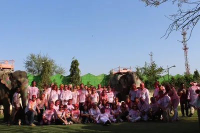 EleJungle Elephant Ride & Activities in Amer Jaipur