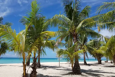 Sugar Beach