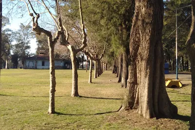 Municipal property Malvinas Argentinas