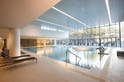 Wellness Center
