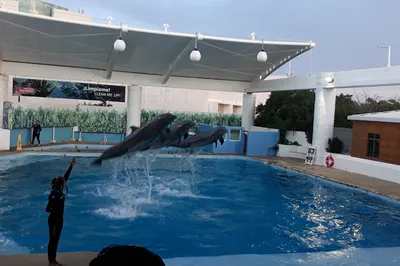 Interactive Aquarium Cancún