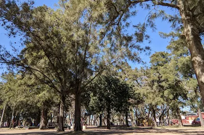 César Díaz Park
