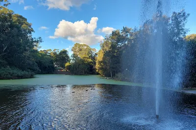 Central Gardens Nature Reserve
