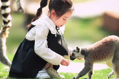 南通森林野生動物園