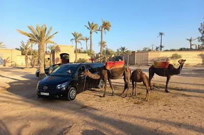 Quad Adventure Marrakech - Location & Excursions en Quad