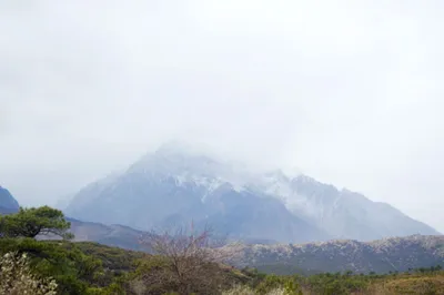 去玉龍雪山一日遊，到底是跟團還是自助遊比較好攻略？