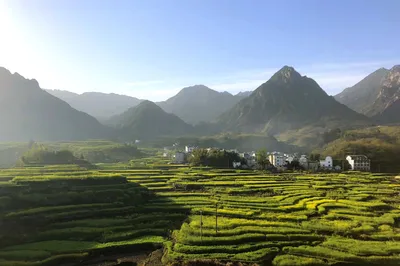 Accompanied by Blossoms All the Way: The Anhui-Zhejiang Sky Road and Jiapeng Terraced Fields