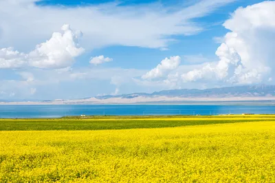 【Check-in Qinghai-Gansu】9-Day Grand Loop in the Northwest