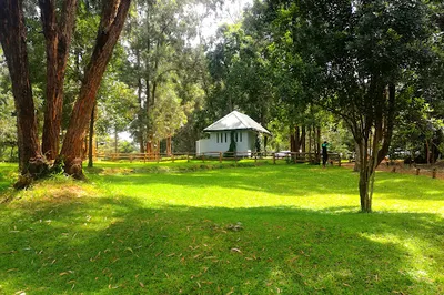 Amani Garden - Karura Forest