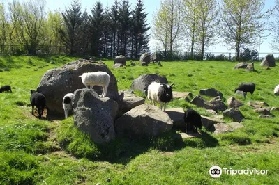 Reykjavik Family park and Zoo